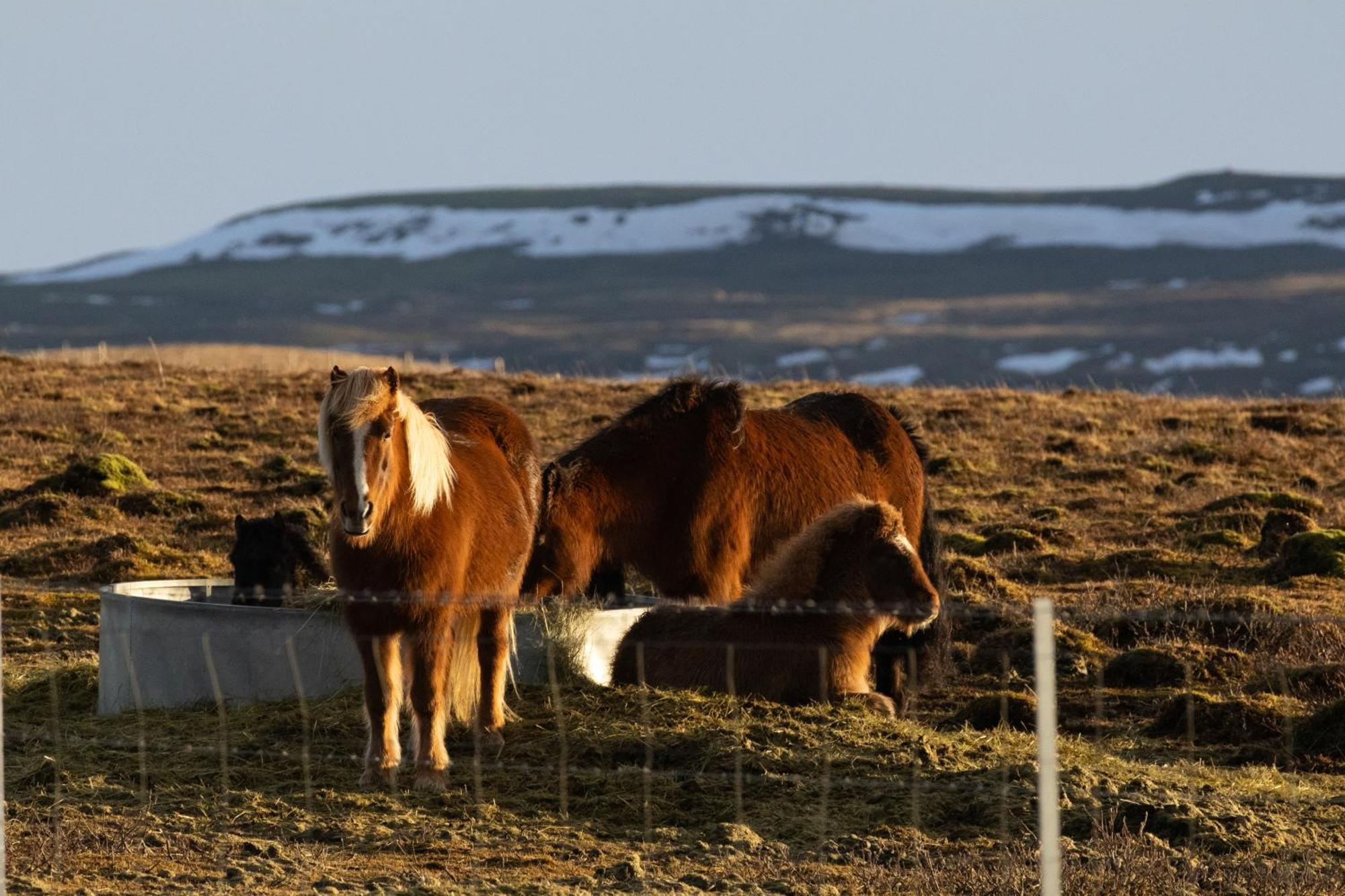Myrkholt Cabin Selfoss Exterior photo